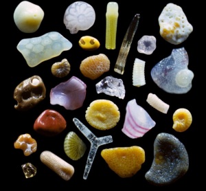 Grains of sand under a microscope by Dr. Gary Greenberg